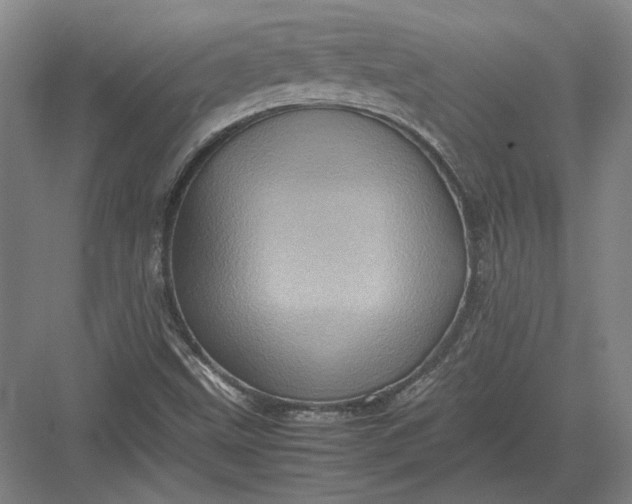 X0000082991499200702160010