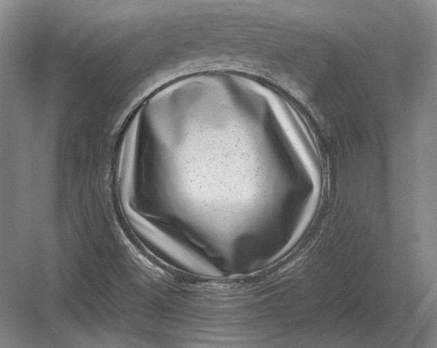 X0000082991500200702160010