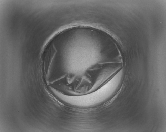 X0000082991502200702160010