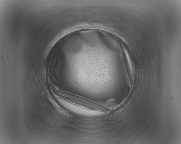 X0000082991503200702160010