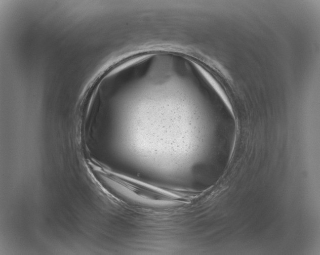 X0000082991504200702160010