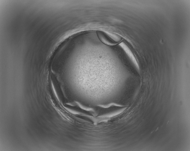 X0000082991507200702160010