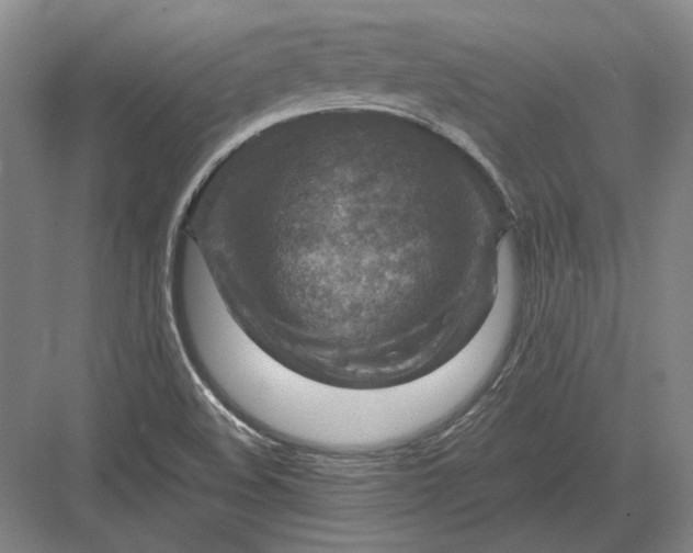 X0000082991508200702160010