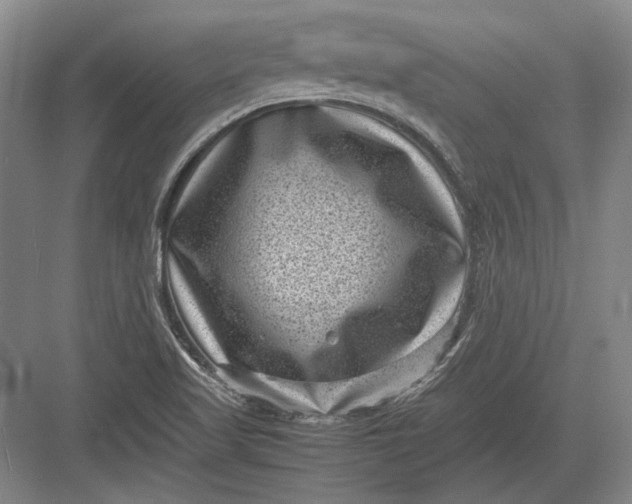 X0000082991509200702160010