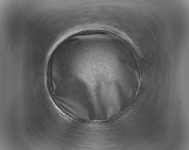 X0000082991512200702160010