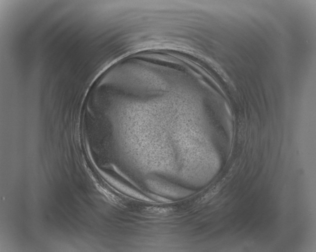 X0000082991513200702160010