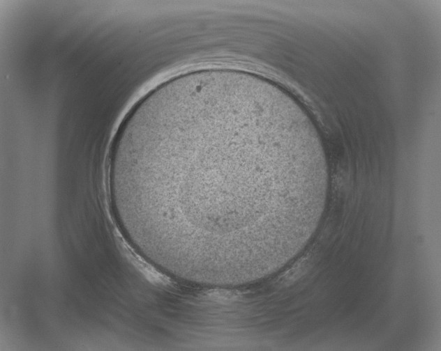 X0000082991514200702160010