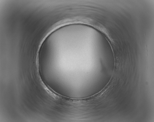 X0000082991516200702160010