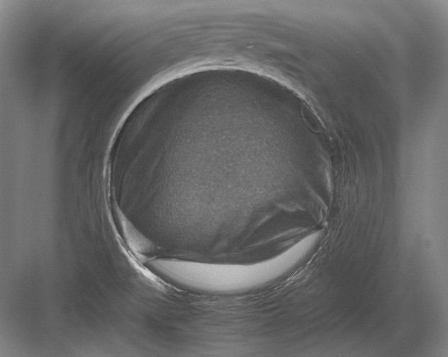 X0000082991519200702160010