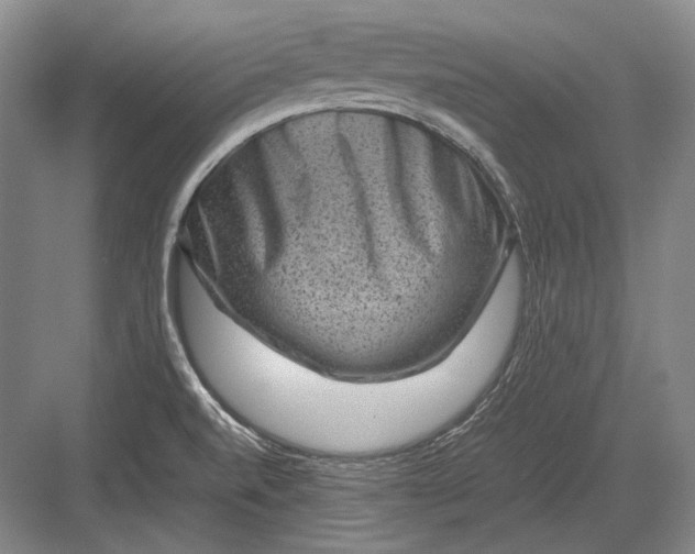 X0000082991520200702160010