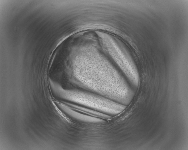 X0000082991521200702160010