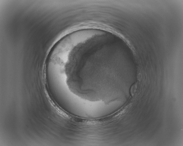 X0000082991522200702160010