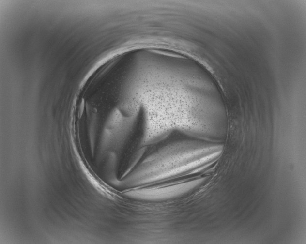 X0000082991523200702160010
