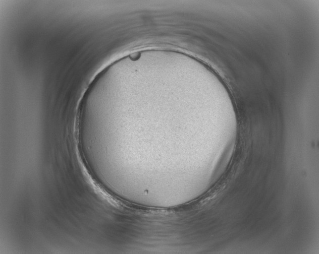 X0000082991526200702160010