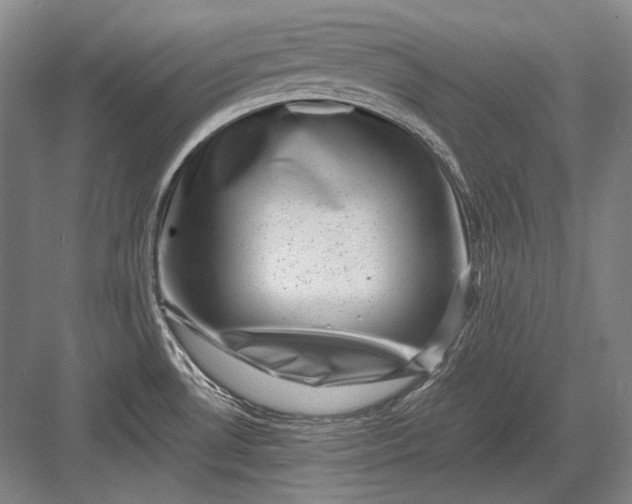 X0000082991530200702160010