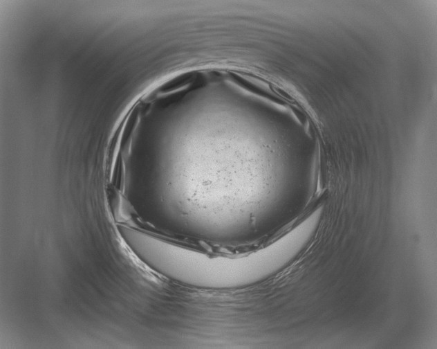 X0000082991532200702160010