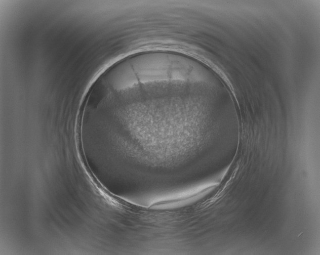 X0000082991533200702160010