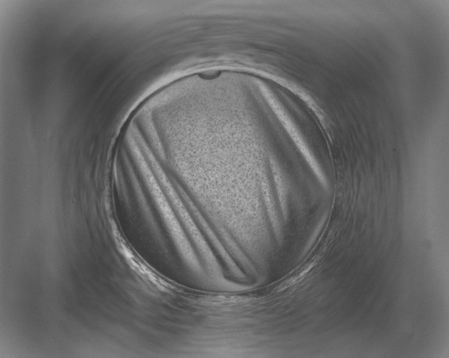 X0000082991534200702160010