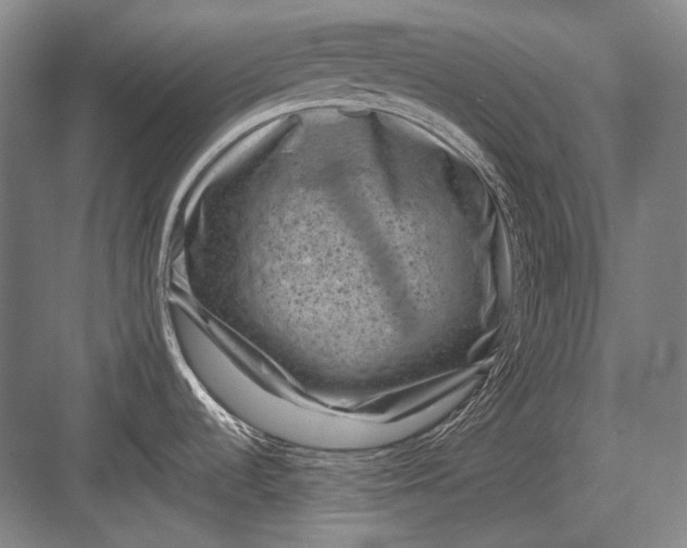 X0000082991536200702160010