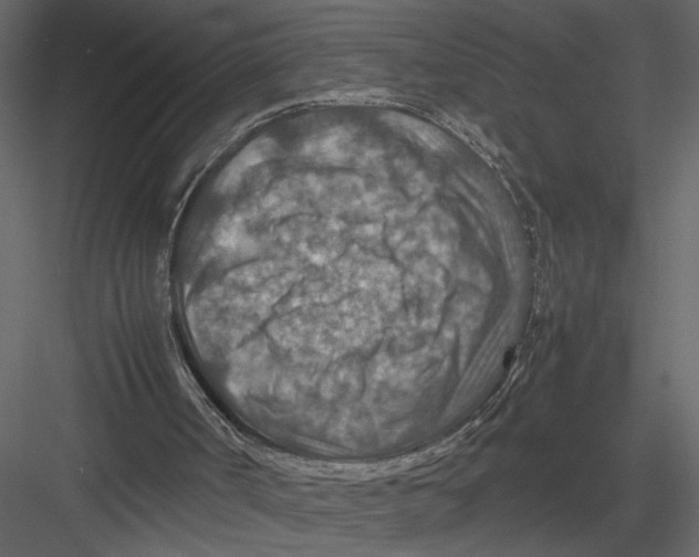 X0000082990002200702230112