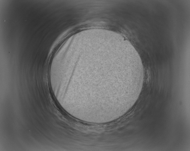 X0000082990004200702230112