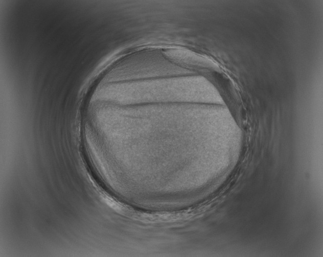 X0000082990005200702230112