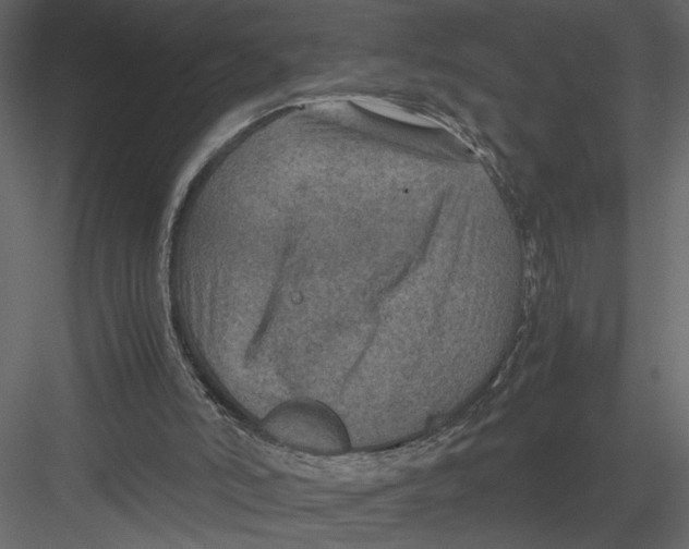 X0000082990006200702230112