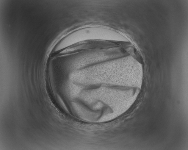 X0000082990007200702230112