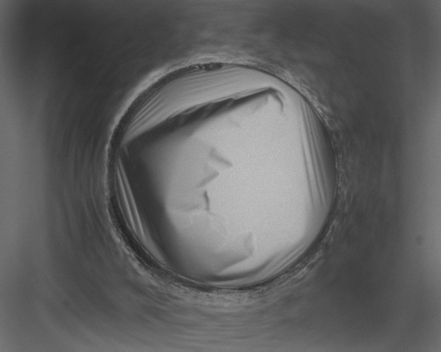 X0000082990008200702230112