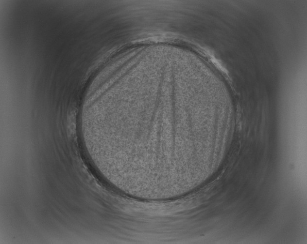 X0000082990010200702230112