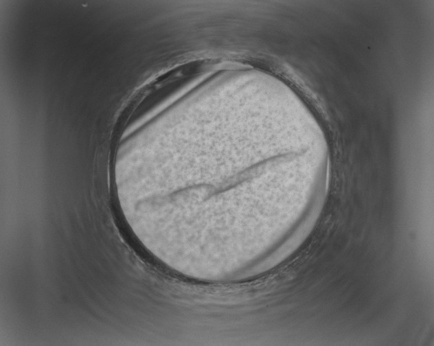 X0000082990011200702230112