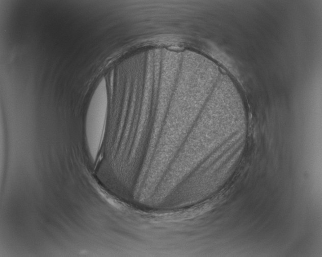 X0000082990013200702230112