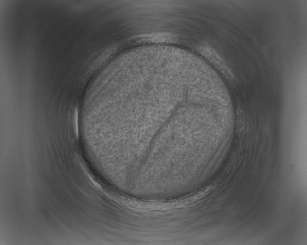 X0000082990014200702230112