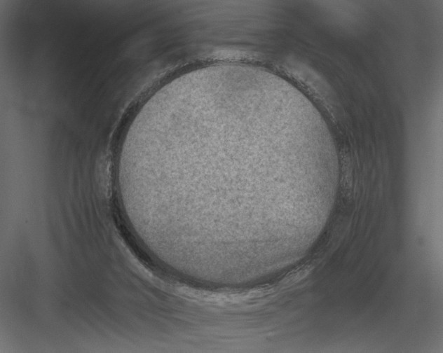 X0000082990016200702230112