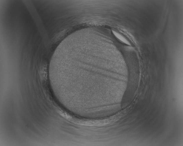 X0000082990017200702230112