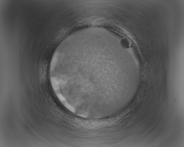 X0000082990018200702230112