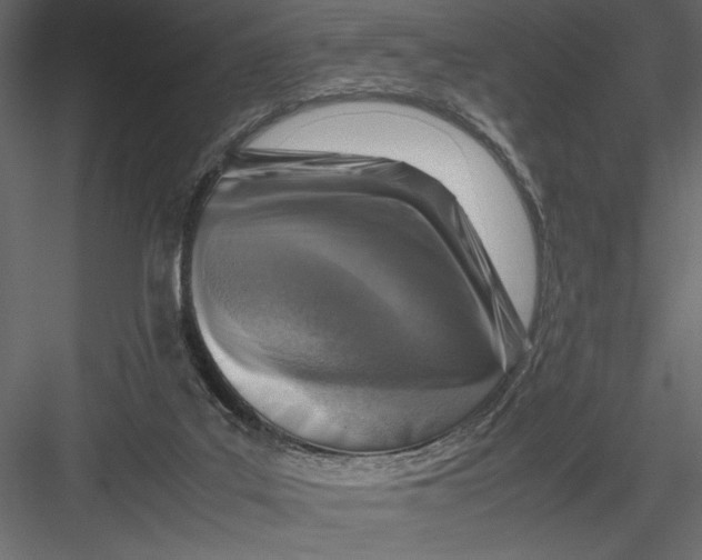 X0000082990019200702230112