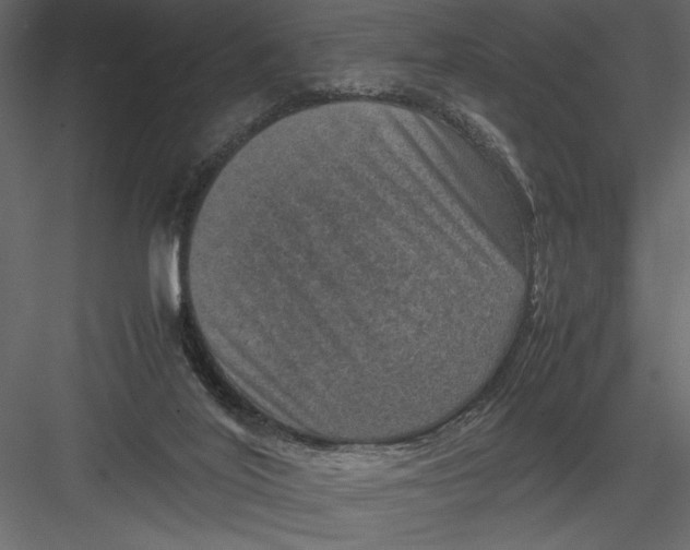 X0000082990020200702230112