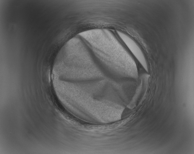 X0000082990021200702230112