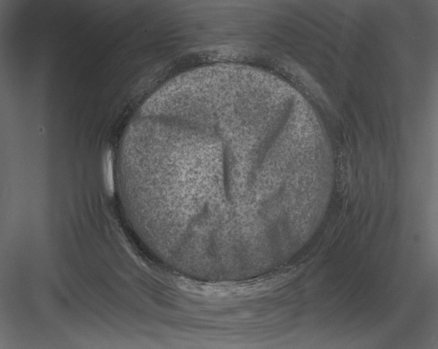 X0000082990022200702230112