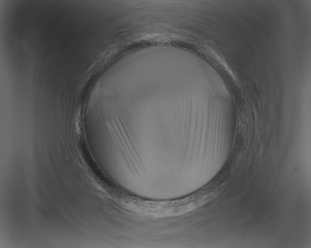 X0000082990023200702230112