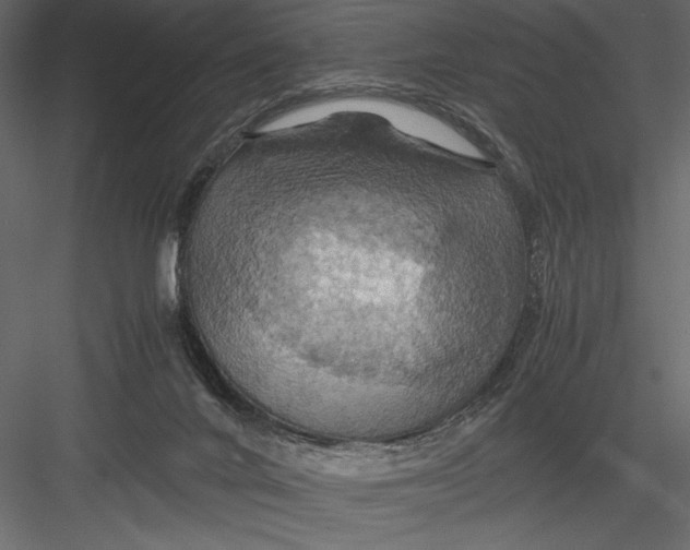 X0000082990024200702230112