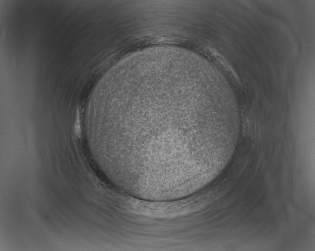 X0000082990026200702230112