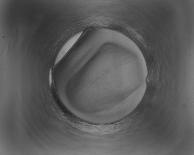 X0000082990027200702230112