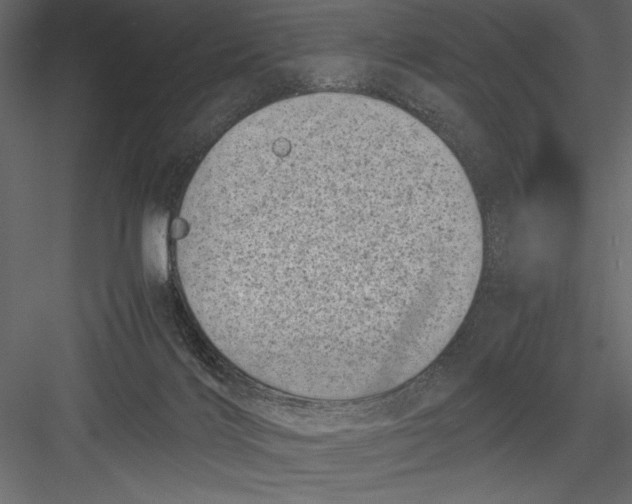 X0000082990028200702230112