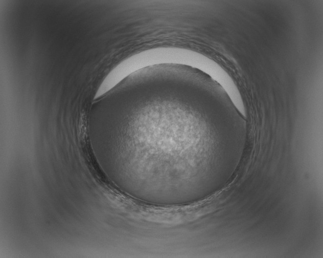 X0000082990029200702230112