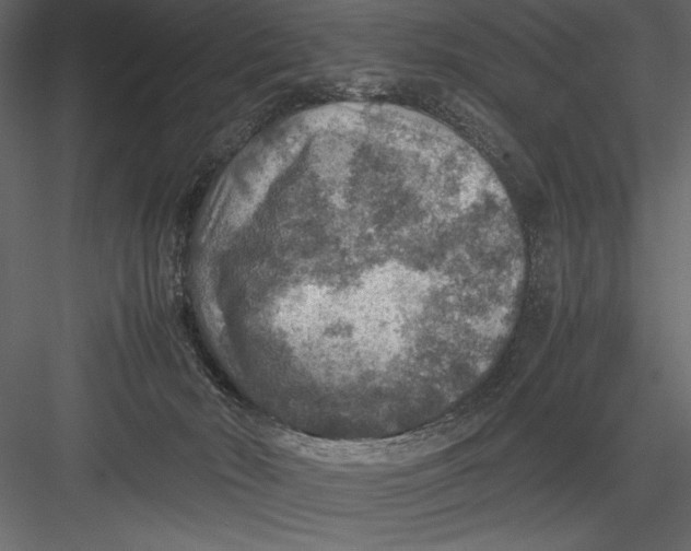 X0000082990030200702230112