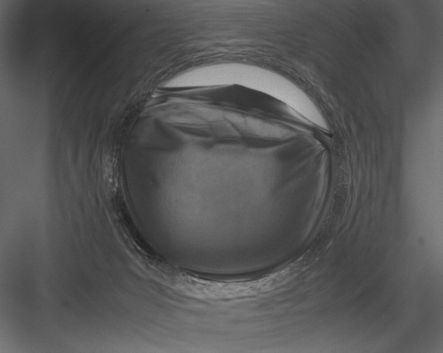 X0000082990031200702230112