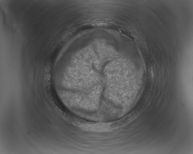 X0000082990032200702230112