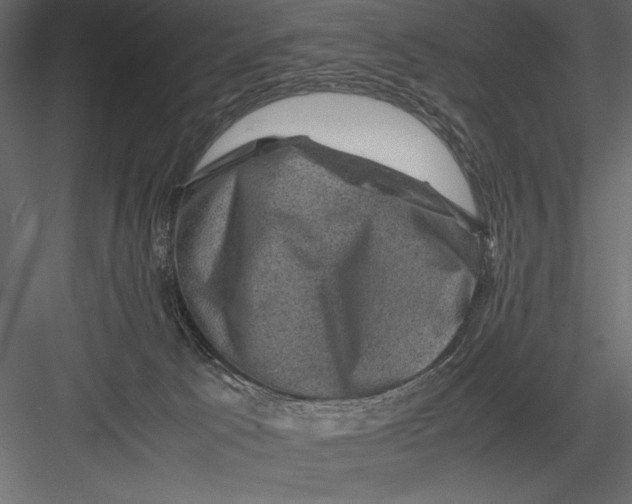 X0000082990033200702230112